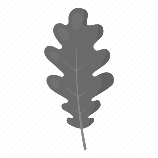 Eco, ecology, forest, leaf, nature, oak, plant icon - Download on Iconfinder