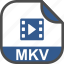 format, extension, mkv, multimedia 