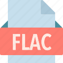 extension, file, flac, folder, tag