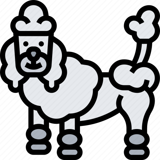 Poodle, dog, pet, animal, breed icon - Download on Iconfinder