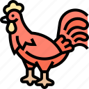 rooster, gallic, french, animal, livestock