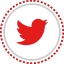 twitter, social, media, logo 