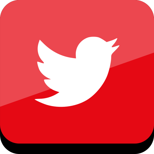 Twitter, social, online, media, connect icon - Free download