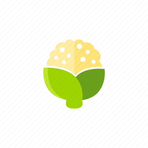 Cauliflower, food, fresh, organic, vegetable, vegetarian icon - Download on Iconfinder