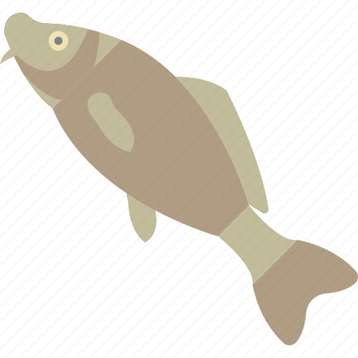 Animal, barbel, fish, freshwater icon - Download on Iconfinder