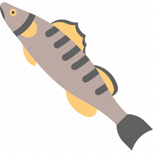 Fish, food, freshwater, river icon - Download on Iconfinder