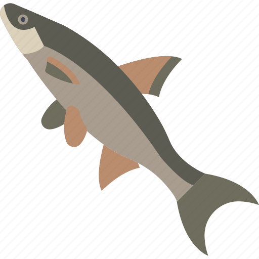 Animal, fish, freshwater, river icon - Download on Iconfinder
