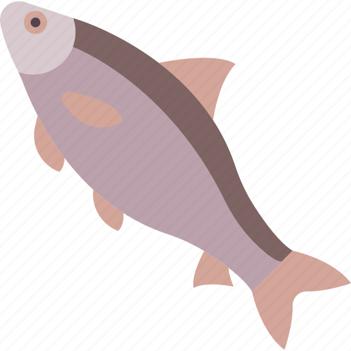 Crucian, fish, freshwater, river icon - Download on Iconfinder