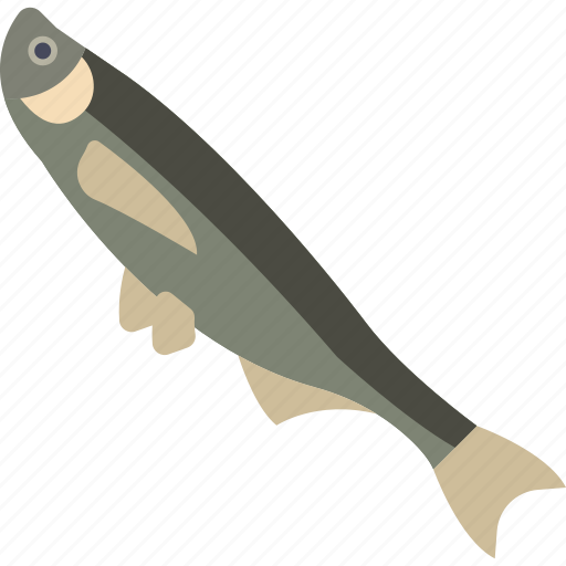 Fish, freshwater, river, sea icon - Download on Iconfinder