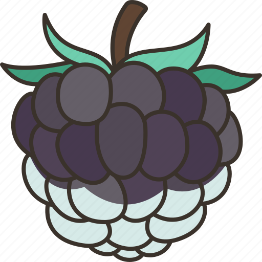 Blackberry, mulberry, fruits, vitamin, antioxidant icon - Download on Iconfinder
