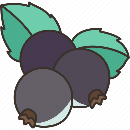 Blackcurrant, cassis, berry, bakery, ingredient icon - Download on Iconfinder