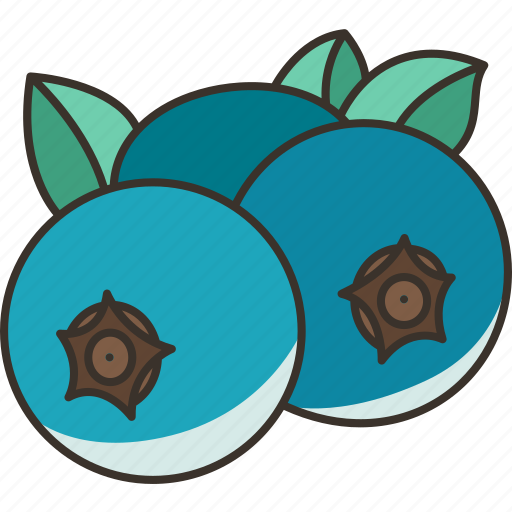 Blueberry, bilberry, sweet, fruit, vitamin icon - Download on Iconfinder