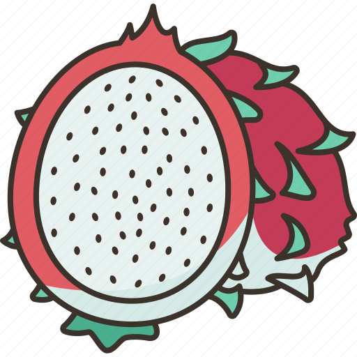 Dragonfruit, pitaya, cactus, fiber, salad icon - Download on Iconfinder