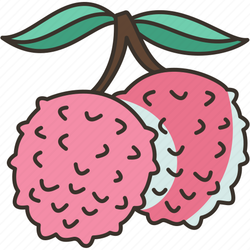 Lychee, lichi, asia, fruit, delicious icon - Download on Iconfinder