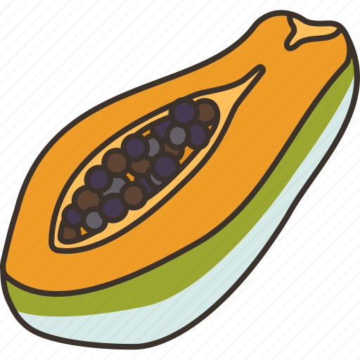Papaya, fruit, papin, food, salad icon - Download on Iconfinder