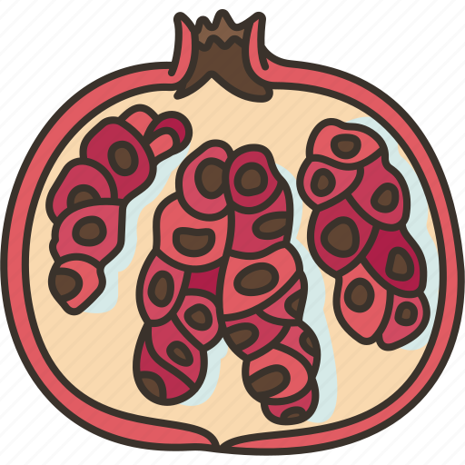 Pomegranate, ripe, seed, edible, antioxidant icon - Download on Iconfinder