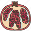 pomegranate, ripe, seed, edible, antioxidant 