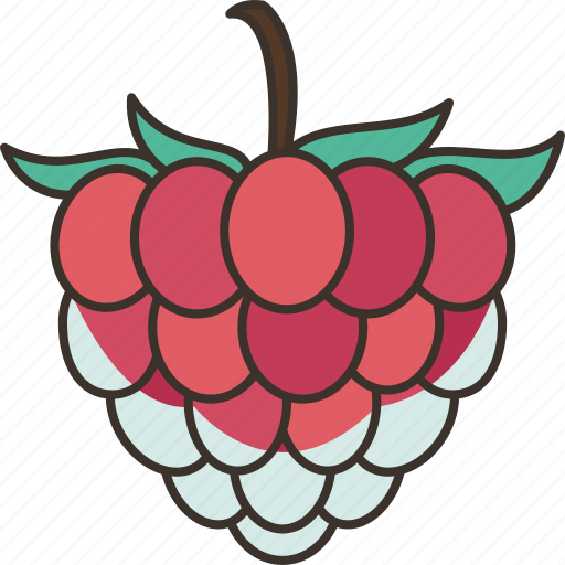 Raspberry, fresh, juicy, vitamin, healthy icon - Download on Iconfinder