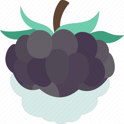 Blackberry, mulberry, fruits, vitamin, antioxidant icon - Download on Iconfinder