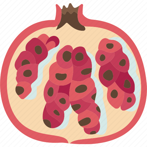 Pomegranate, ripe, seed, edible, antioxidant icon - Download on Iconfinder