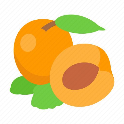 Fruit, healthy, apricot, food, diet, organic icon - Download on Iconfinder