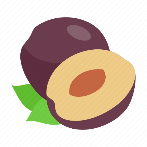 Fruit, plum, healthy, food, diet, organic icon - Download on Iconfinder