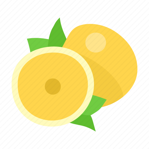 Fruit, healthy, pomelo, food, diet, organic, tropical icon - Download on Iconfinder