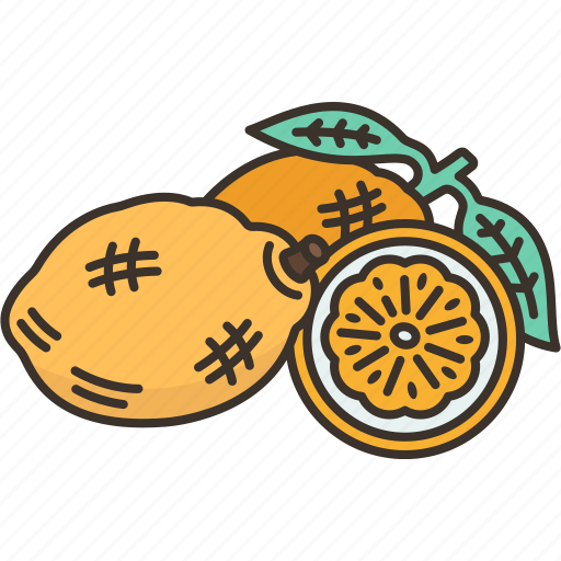 Lemon, citrus, sour, ingredient, vitamin icon - Download on Iconfinder