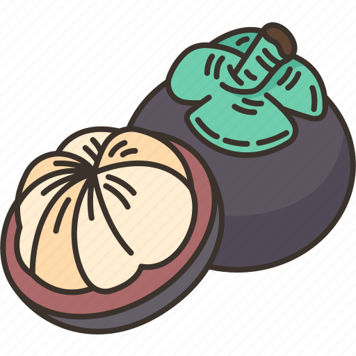 Mangosteen, fruit, ripe, tropical, exotic icon - Download on Iconfinder