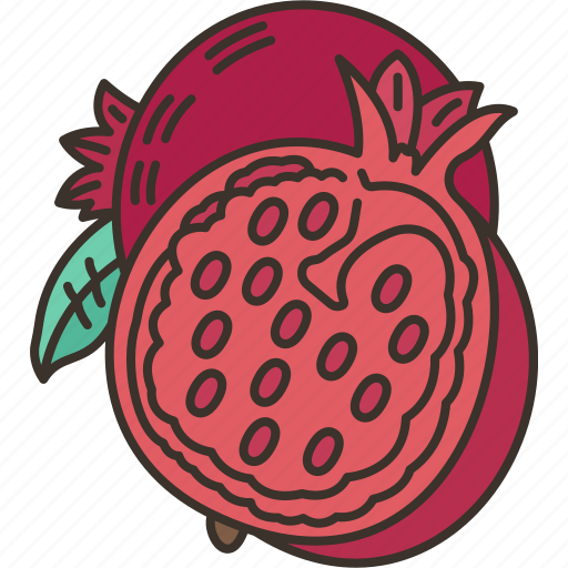 Pomegranate, ripe, dieting, fresh, antioxidant icon - Download on Iconfinder
