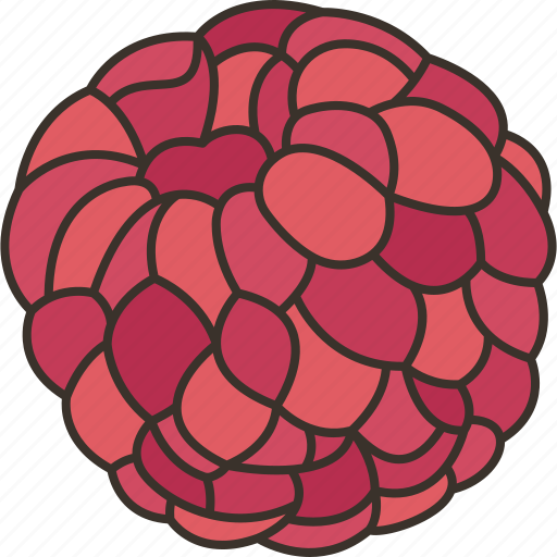 Raspberry, berry, dessert, sweet, vitamin icon - Download on Iconfinder