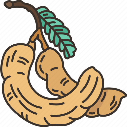 Tamarind, fruit, sour, vitamin, tropical icon - Download on Iconfinder