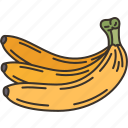 banana, food, diet, nutrition, organic