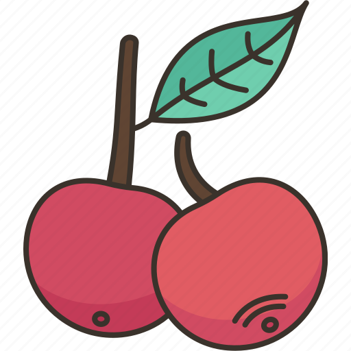Cherry, berry, dessert, vitamin, tasty icon - Download on Iconfinder