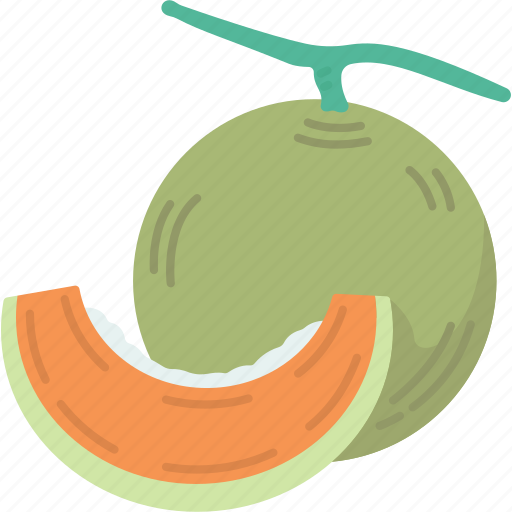 Melon, fruit, sweet, diet, fresh icon - Download on Iconfinder