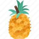 pineapple, fruit, fresh, juicy, tropical