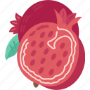 pomegranate, ripe, dieting, fresh, antioxidant