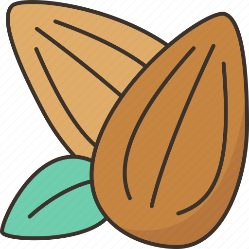 Almond, roasted, nutrition, ingredient, snack icon - Download on Iconfinder