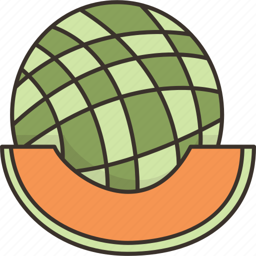 Cantaloupe, fruit, sweet, ripe, slice icon - Download on Iconfinder