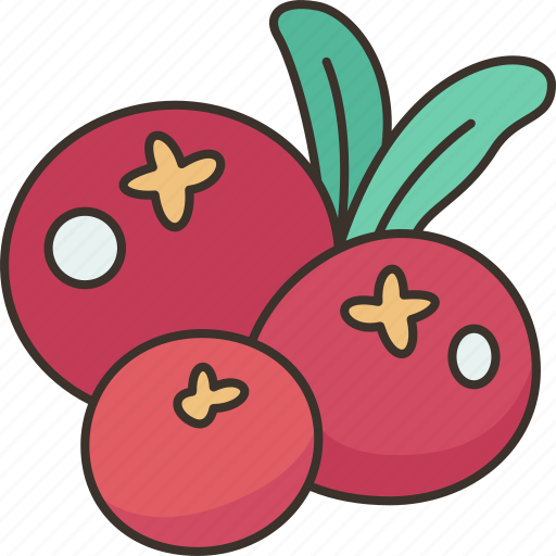 Cranberry, fruit, harvest, vitamin, healthy icon - Download on Iconfinder