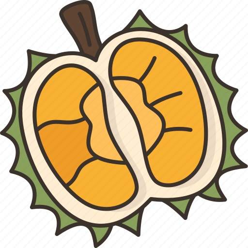 Durian, fruit, dessert, tropical, exotic icon - Download on Iconfinder