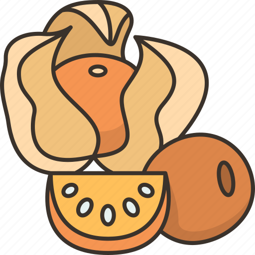 Gooseberry, cape, berry, diet, fruit icon - Download on Iconfinder