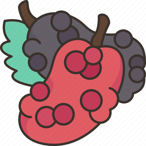 Mulberry, berry, dessert, delicious, organic icon - Download on Iconfinder