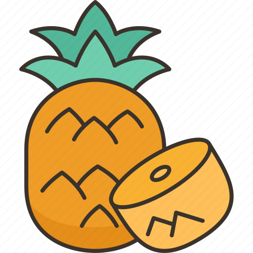 Pineapple, fruit, fresh, juicy, tropical icon - Download on Iconfinder
