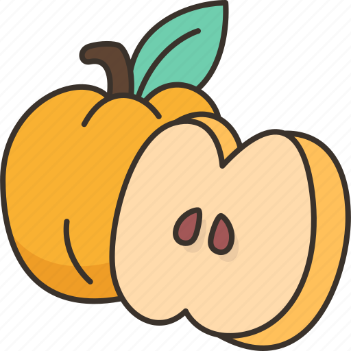 Quince, fruit, fresh, sweet, organic icon - Download on Iconfinder