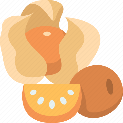 Gooseberry, cape, berry, diet, fruit icon - Download on Iconfinder