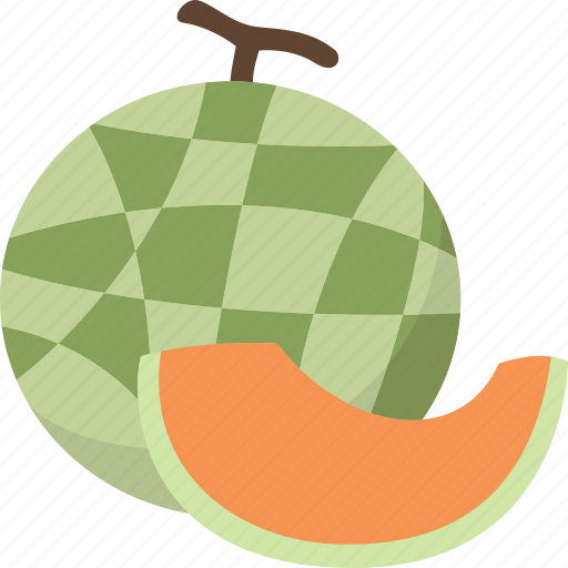 Melon, fruit, ripe, fresh, vitamin icon - Download on Iconfinder