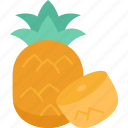 pineapple, fruit, fresh, juicy, tropical