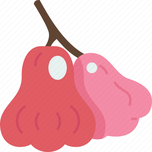 Roseapple, diet, fresh, sweet, tropical icon - Download on Iconfinder