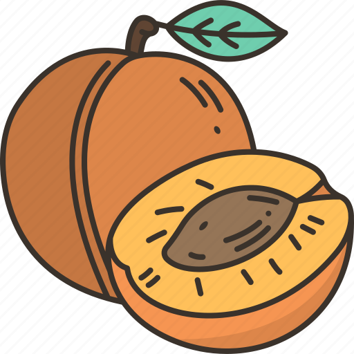 Apricots, fruit, fresh, vitamin, organic icon - Download on Iconfinder